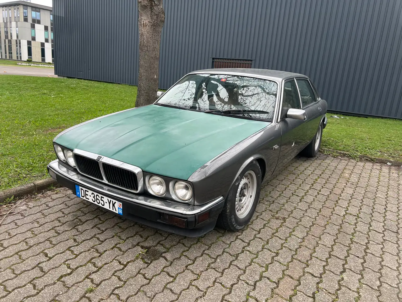 Jaguar XJ6 3.6