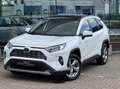 Toyota RAV 4 2.5 Hybrid Dynamic+E-CVT Aut 2020 Pano Navi Weiß - thumbnail 3