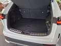 Lexus NX 450h+ Plug-In F Sport 4x4 20 Zoll, Sitzlüft. Alb - thumbnail 11