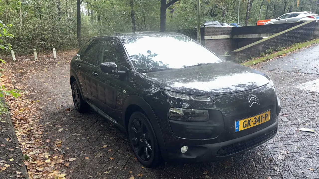 Citroën C4 Cactus