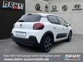 Citroen C3 PT 83 C-Series PDC SHZ 1.Hand Carplay Weiß - thumbnail 3