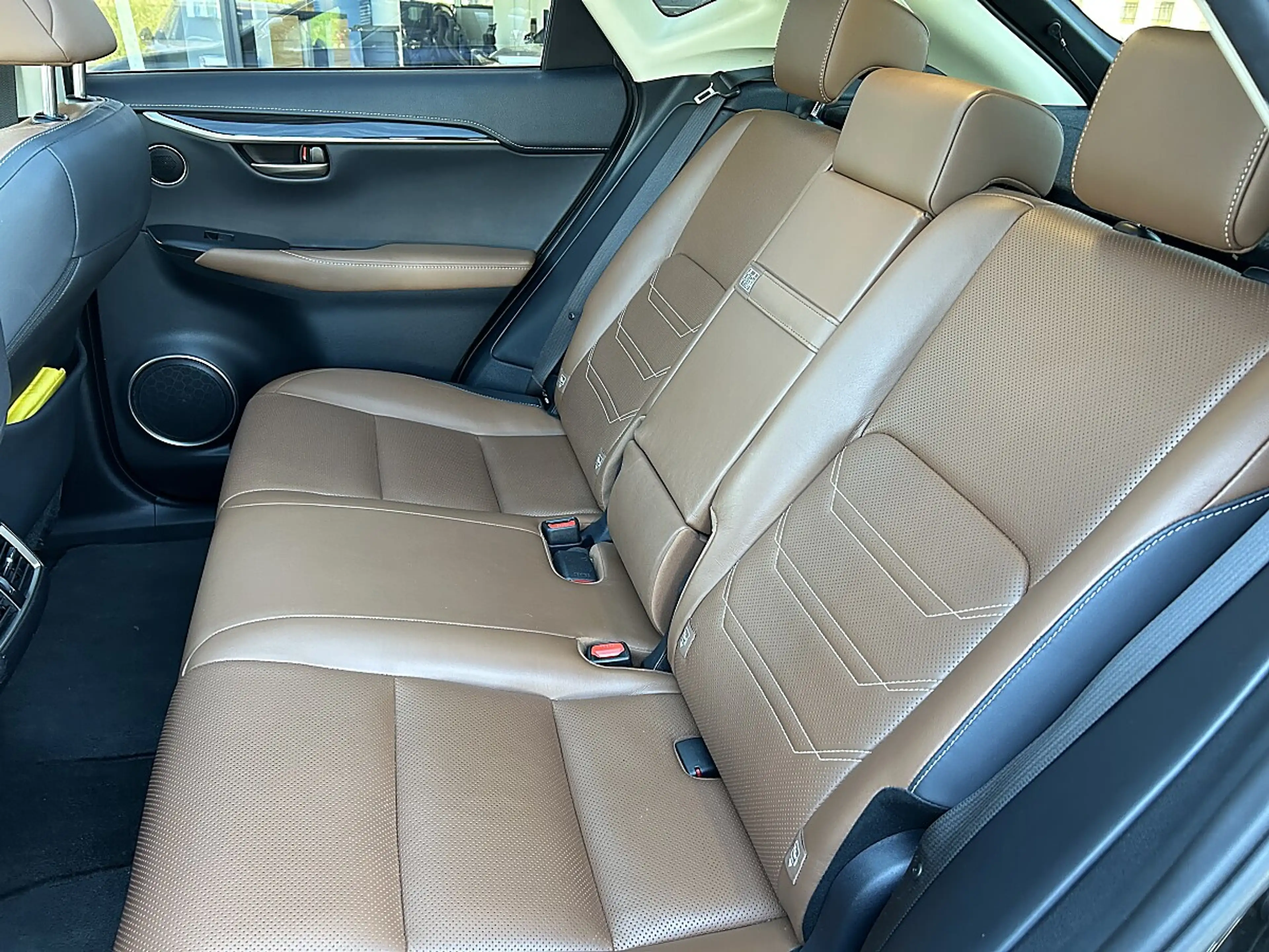 Lexus NX 300h Executive Hybrid Aut. — photo 10