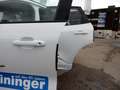 Ford Kuga Plug-In Hybrid ST-Line FAHRERASSISTENZ/WINTER-PAKE Weiß - thumbnail 4