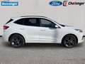 Ford Kuga 2.5 l Duratec Plug-In Hybrid ST-Line Autom. NAVI/D Weiß - thumbnail 8