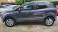 Ford EcoSport EcoSport 2014 1.0 ecoboost Titanium S 125cv Gris - thumbnail 9