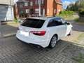 Audi A4 A4 Avant 35 TFSI S tronic White - thumbnail 5