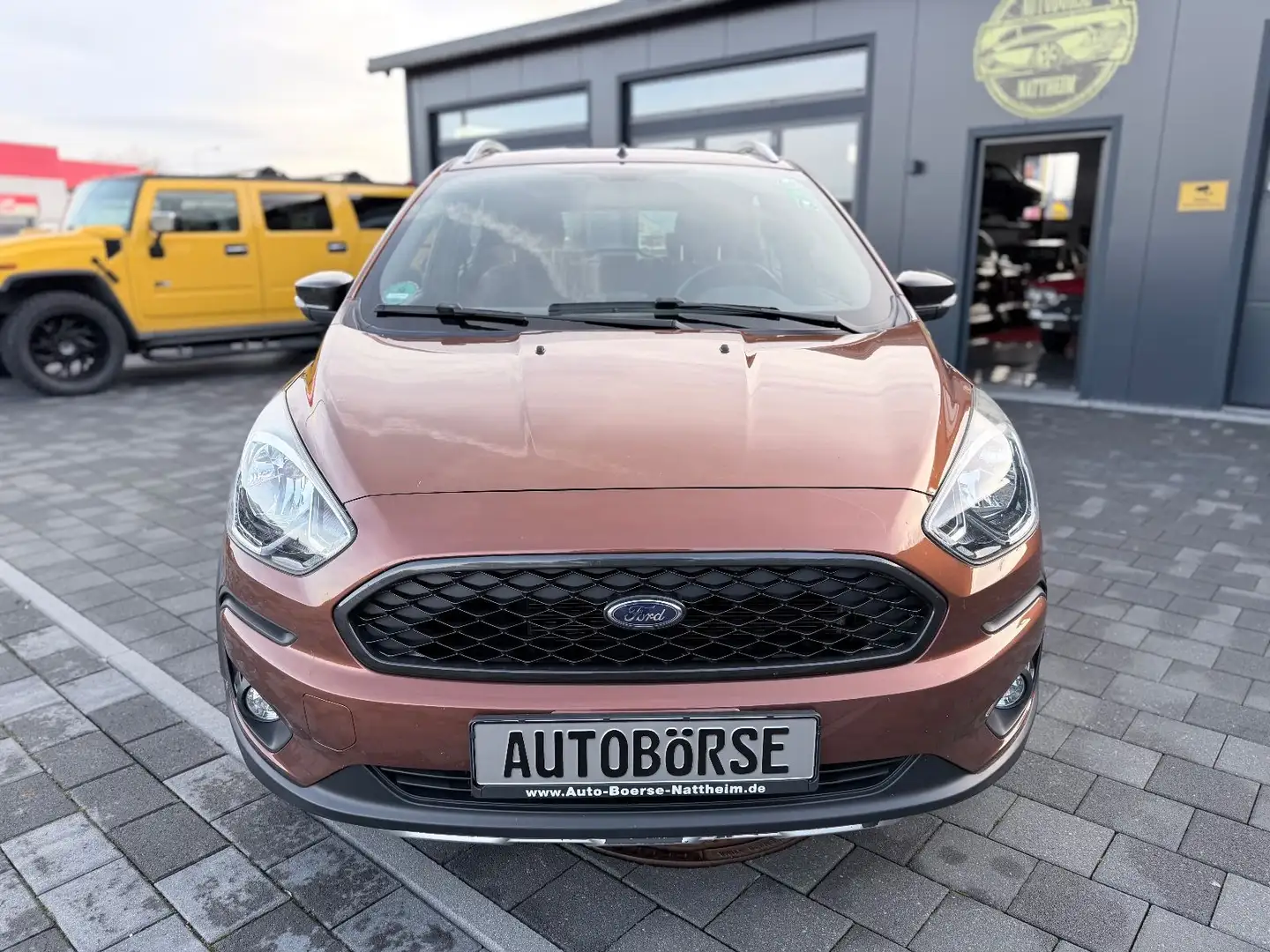 Ford Ka/Ka+ KA+ Active Braun - 2