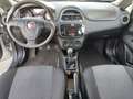 Fiat Punto 5p 1.2 Street Gpl fino al 2028 Grigio - thumbnail 5