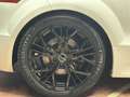 Audi TTS TTS Coupe 2.0 tfsi quattro 272cv Full Optional - thumbnail 7
