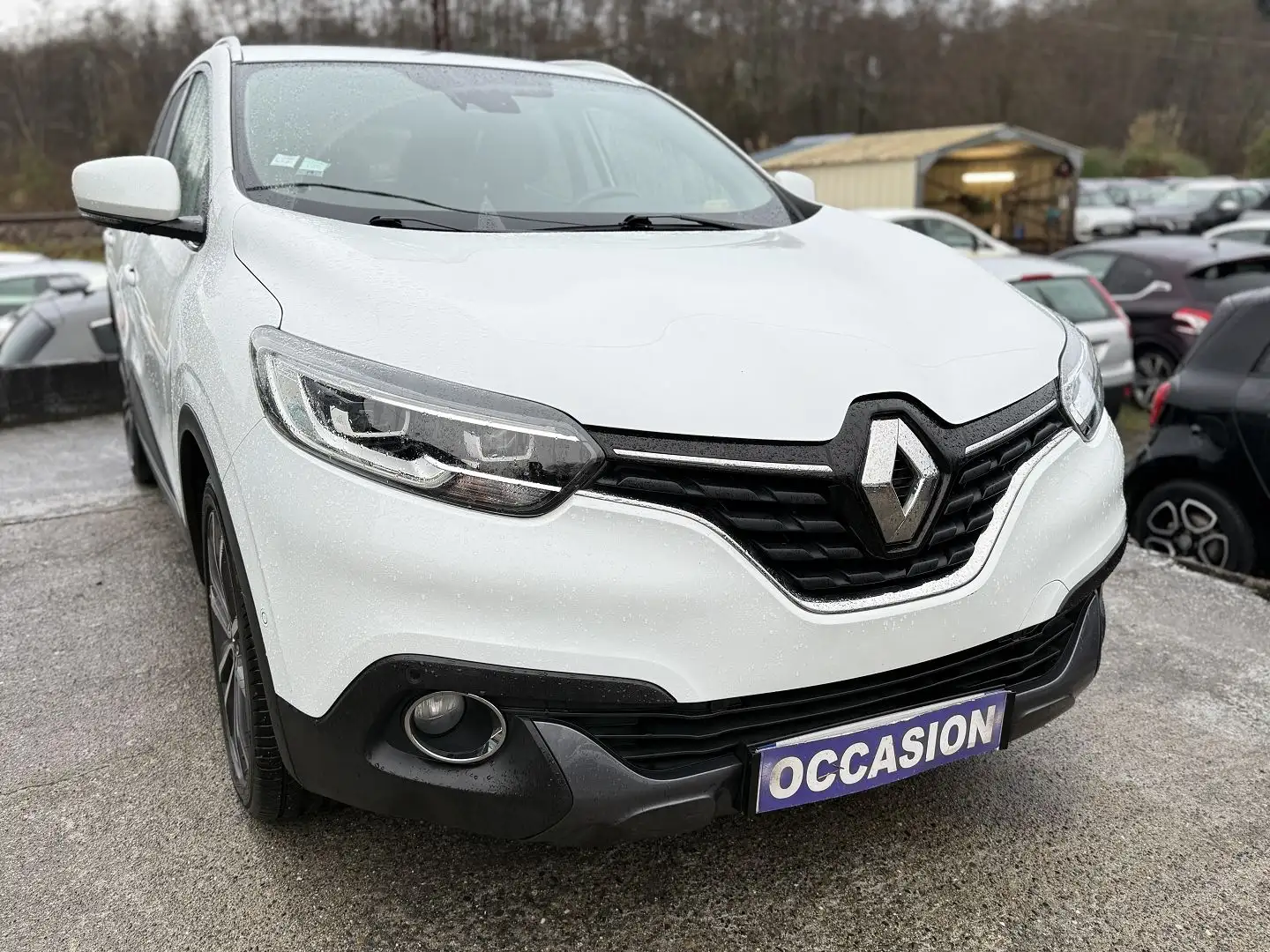 Renault Kadjar 1.5 DCI 110CH ENERGY BUSINESS EDC ECO² - 1