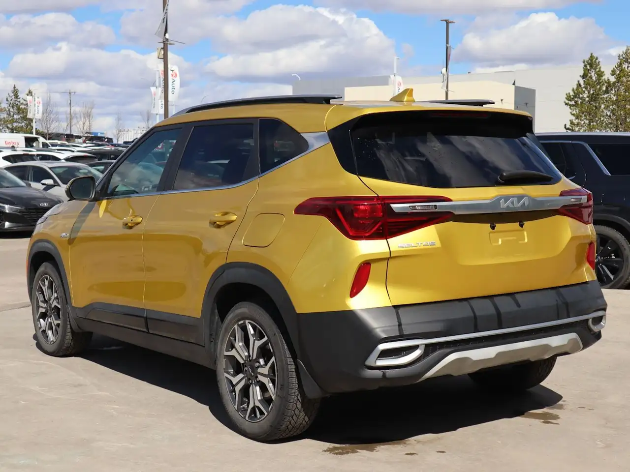 Kia Seltos снимка Kia Seltos