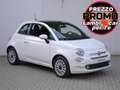 Fiat 500 1.0 Hybrid Dolcevita 70cv Aziendale Bianco - thumbnail 1