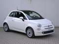 Fiat 500 1.0 Hybrid Dolcevita 70cv Aziendale Bianco - thumbnail 2