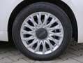Fiat 500 1.0 Hybrid Dolcevita 70cv Aziendale Bianco - thumbnail 11