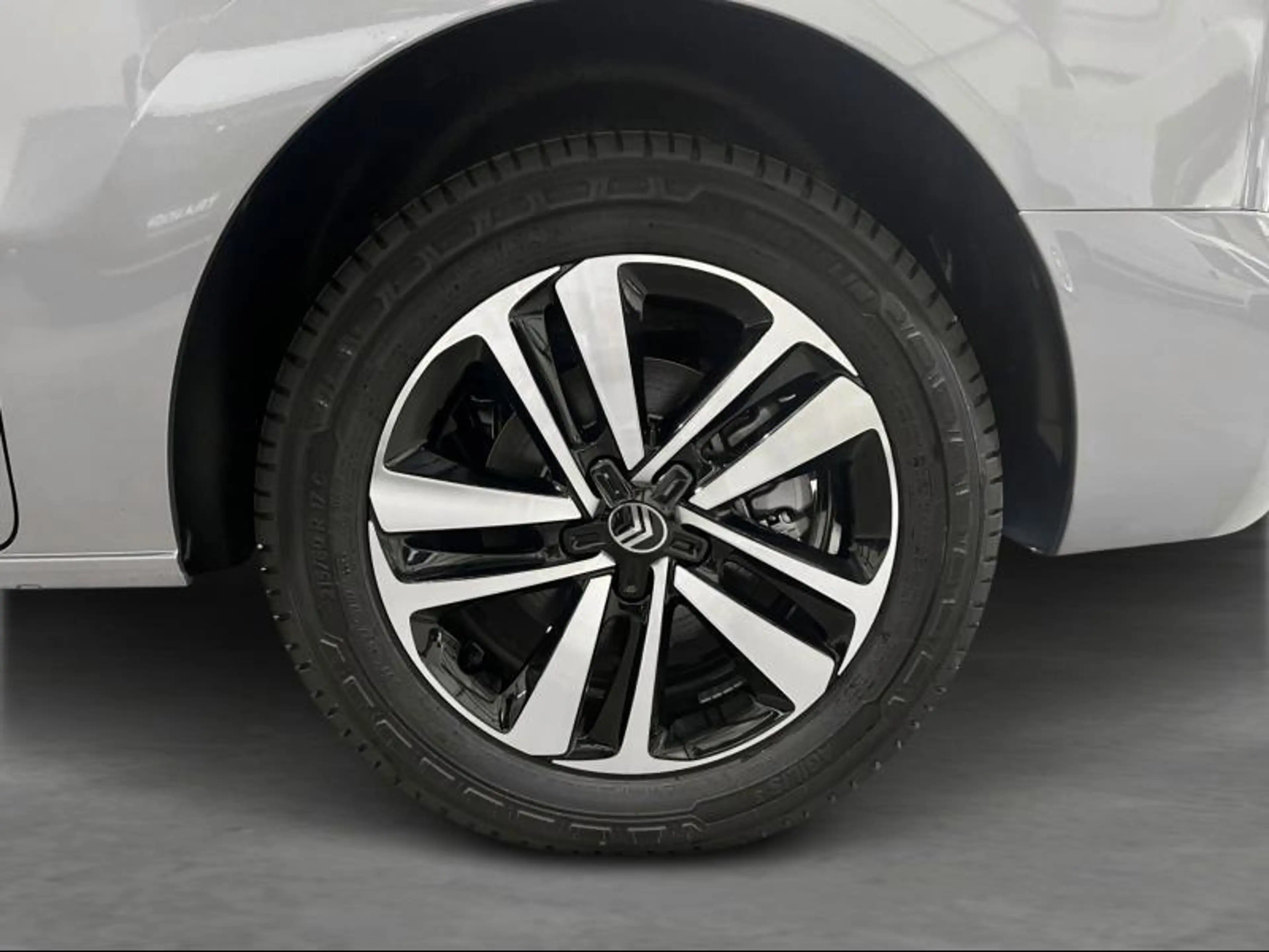 Citroen Holidays Max — photo 10