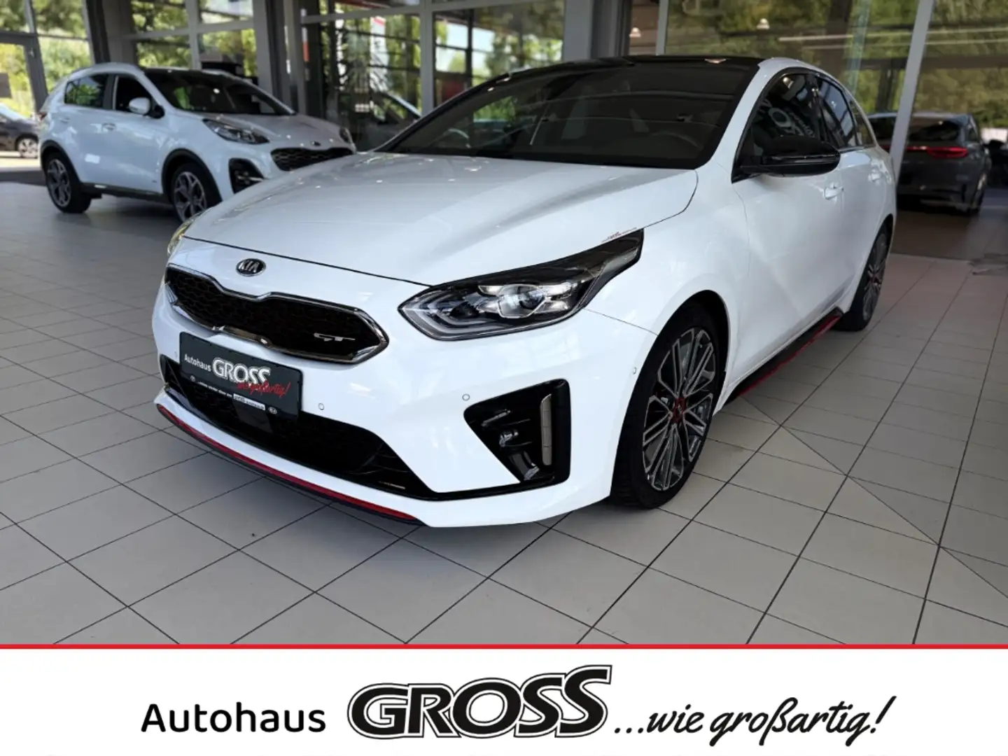 Kia ProCeed / pro_cee'd GT 1.6 T-GDI EU6d El. Panodach Navi Leder Digitale Weiß - 1