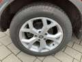 Renault Kadjar II 1.3 TCe 140 BUSINESS EDITION Automatik Rot - thumbnail 10