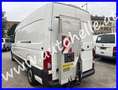 Volkswagen Crafter Kasten Automatik L3H2 -Ladebordwand -Klima Weiß - thumbnail 3