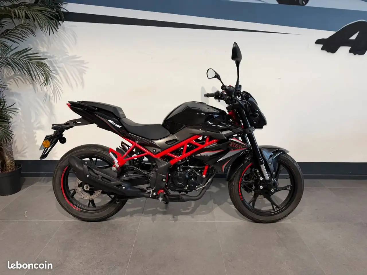 Benelli BN 125