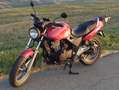Honda CB 500 Rosso - thumbnail 6