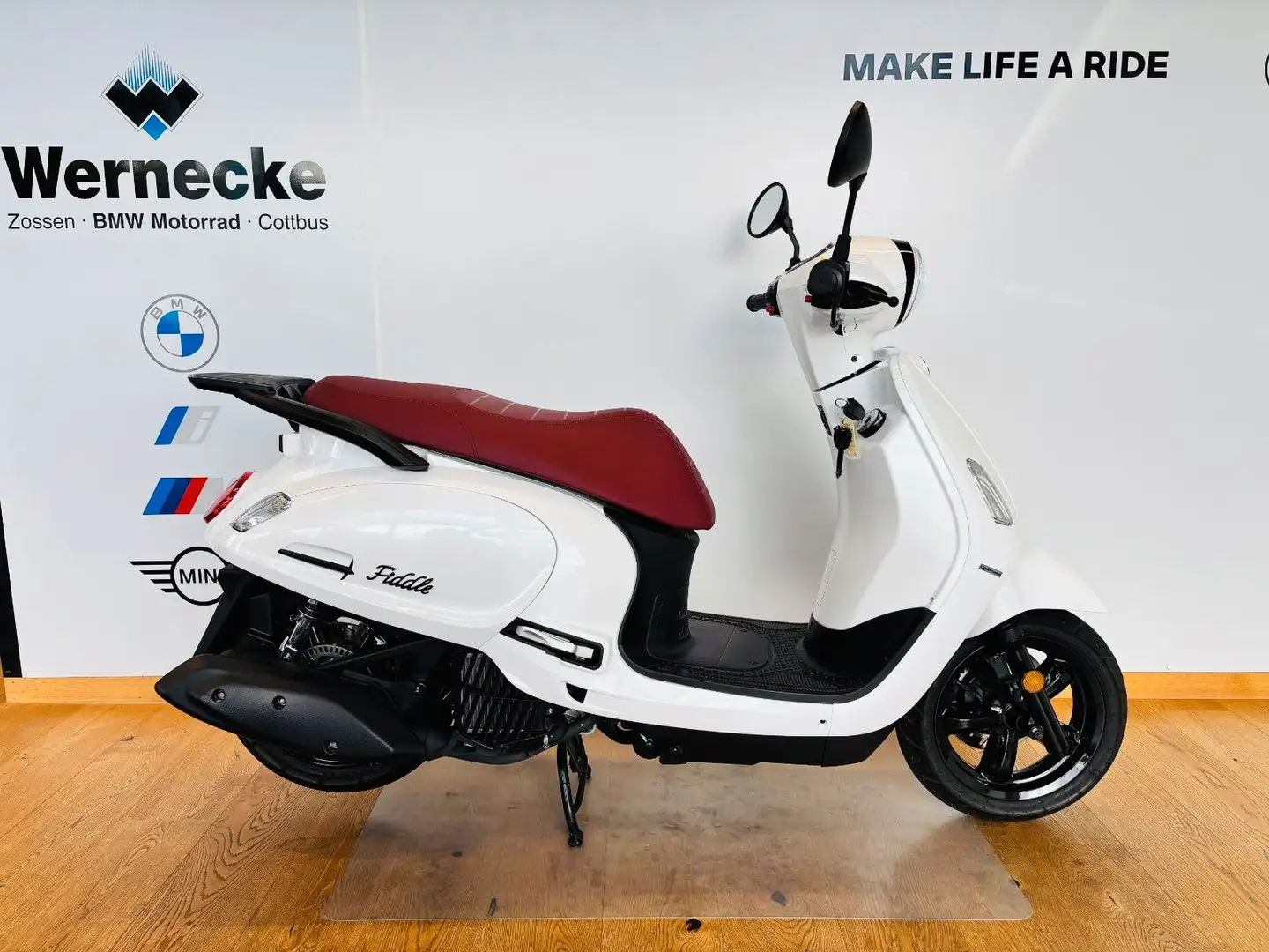 SYM Fiddle 125 Blanc - 1