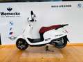 SYM Fiddle 125 Blanc - thumbnail 2