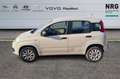 Fiat Panda 3ª serie 0.9 TwinAir Turbo Natural Power Pop Beige - thumbnail 4