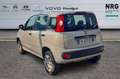 Fiat Panda 3ª serie 0.9 TwinAir Turbo Natural Power Pop Beige - thumbnail 5