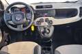 Fiat Panda 3ª serie 0.9 TwinAir Turbo Natural Power Pop Beige - thumbnail 13