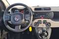 Fiat Panda 3ª serie 0.9 TwinAir Turbo Natural Power Pop Beige - thumbnail 14