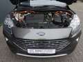 Ford Kuga 2.5 Duratec+Plug-In Hybrid+Titanium X+KEYLESS Gris - thumbnail 10