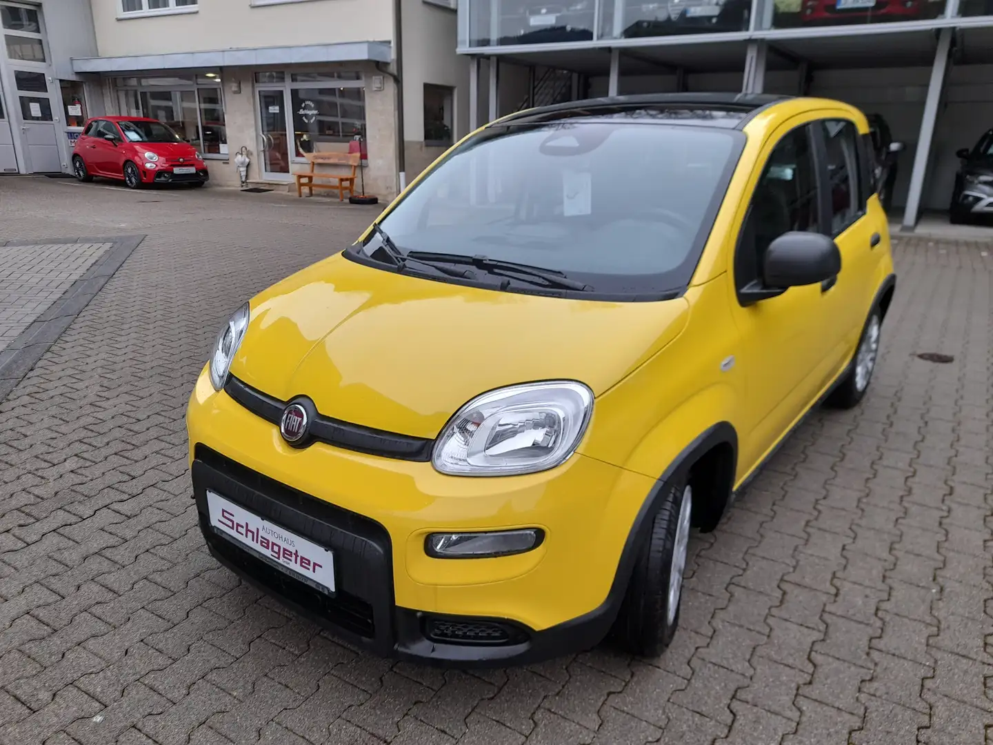 Fiat Panda Pandina Hybrid 1.0 GSE Gelb - 1
