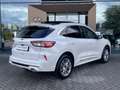 Ford Kuga 2.5 HEV Vignale | glazen schuif-kanteldak | Winter Wit - thumbnail 6