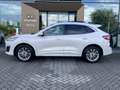 Ford Kuga 2.5 HEV Vignale | glazen schuif-kanteldak | Winter Wit - thumbnail 12