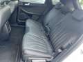 Ford Kuga 2.5 HEV Vignale | glazen schuif-kanteldak | Winter Wit - thumbnail 16