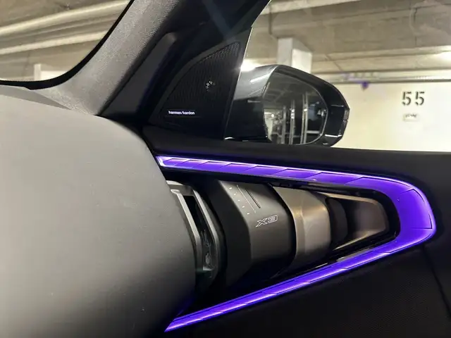 BMW X3 30e xDrive (G45) M Sportpaket HK HiFi DAB Ansicht 10