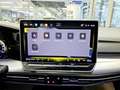 Volkswagen Golf Variant Life AHK,Climatr,Kamera,ACC,SHZ,LED Noir - thumbnail 15