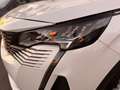 Peugeot 3008 Peugeot 3008 1.5 BlueHdi S&S 130CV EAT8 Bianco - thumbnail 6