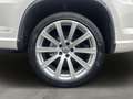 Volkswagen Tiguan Sport Weiß - thumbnail 13