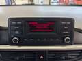 Kia Picanto 1.2 Edition7 Klima Bluetooth Sitzheizung Noir - thumbnail 20