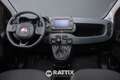Fiat Panda 1.0 Firefly Hybrid 70CV Cross 5p.ti Rouge - thumbnail 9