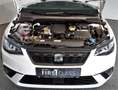 SEAT Ibiza Reference Edition 1.0 TSI Weiß - thumbnail 21