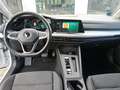 Volkswagen Golf 1.0 eTSI OPF DSG Life BusinessPremium Navi Weiß - thumbnail 3