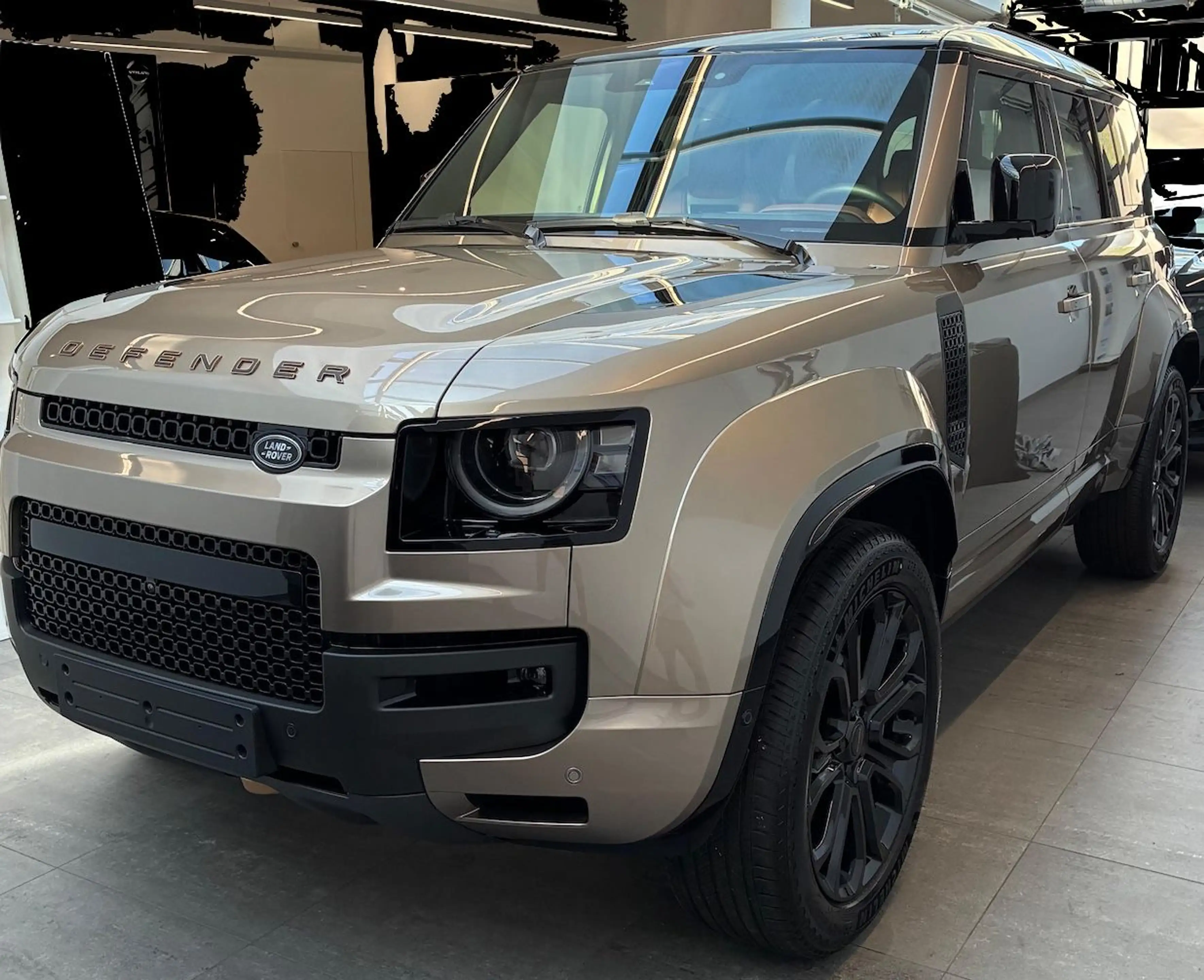 Land Rover Defender 110 OCTA/be-br/AHK/Reling/22