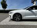 Volvo V60 T6 Plug-In Hybrid AWD R-Design | Harman/Kardon Aud Bianco - thumbnail 2