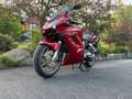 Honda VFR 800 CANDY GLORY RED Rot - thumbnail 4
