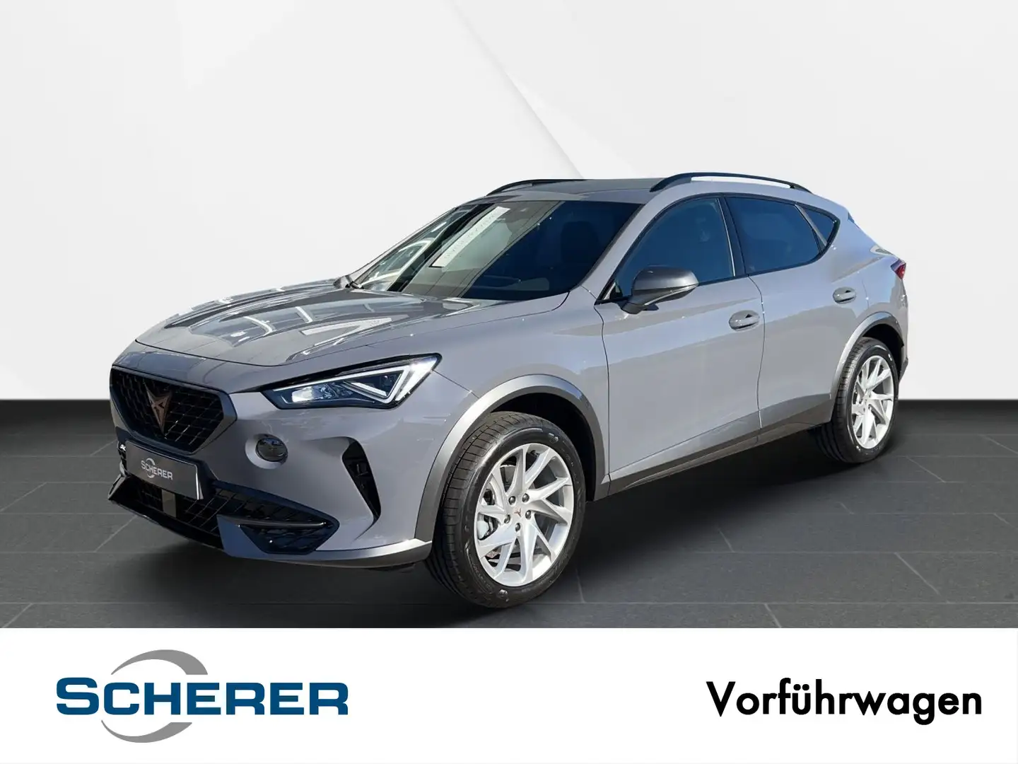 CUPRA Formentor 1.5 TSI 110 kW (150 PS) 7-Gang-DSG Grau - 1