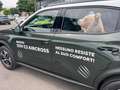 Citroen C3 Aircross 2ª s. 1.2 puretech turbo Plus 100cv Vert - thumbnail 2