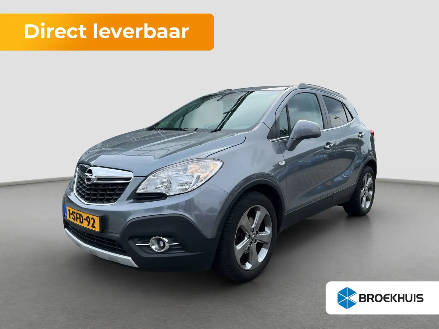 Opel Mokka 1.6 Cosmo | Achteruitrijcamera | Bluetooth telefoo Gris - 1