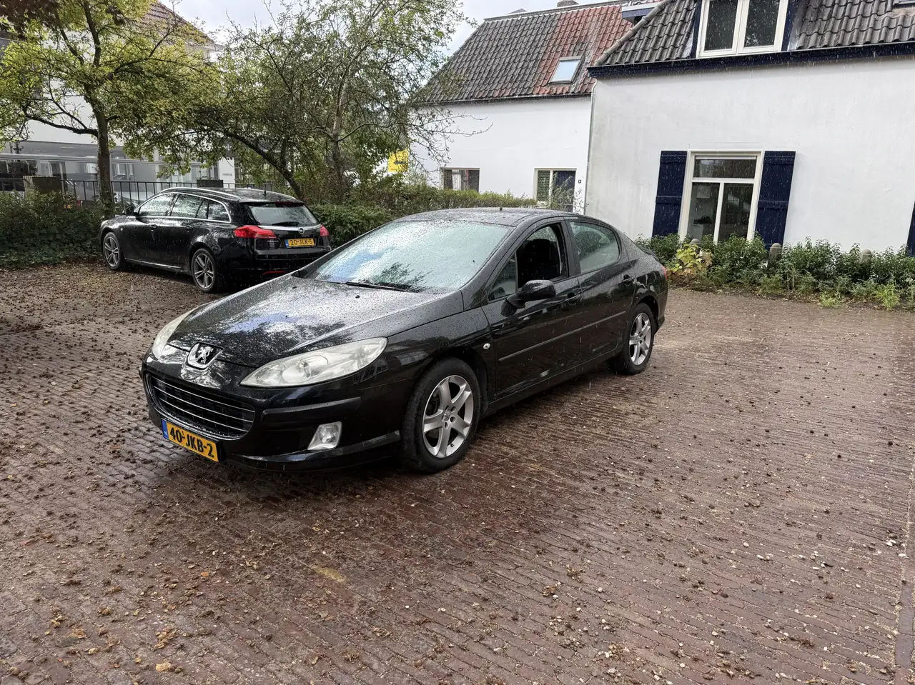 Peugeot 407